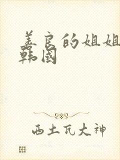 善良的姐姐电影韩国