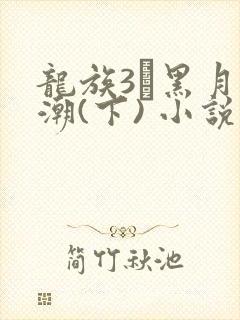 龙族3·黑月之潮(下) 小说在线观看