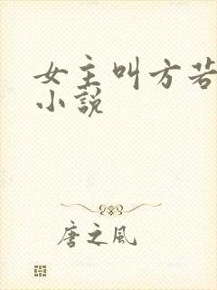 女主叫方若棠的小说