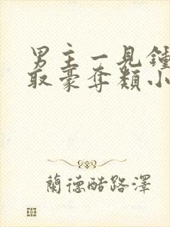 男主一见钟情强取豪夺类小说