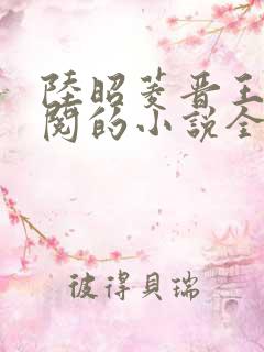 陆昭菱晋王周时阅的小说全文免费阅读无弹窗