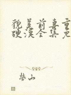 貌美前妻重生嫁硬汉全集免费观看