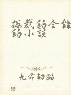 总裁的全能秘书的小说