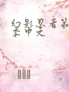 幻影忍者第17季中文