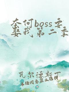 奈何boss要娶我第二季全集免费