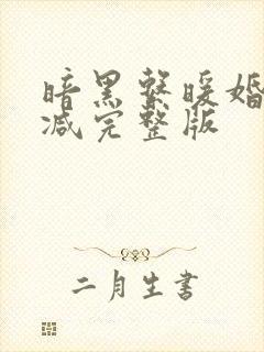 暗黑系暖婚未删减完整版