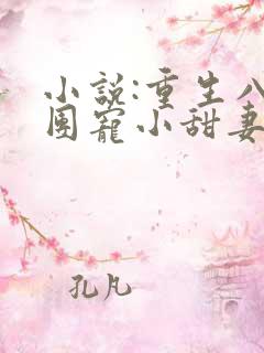 小说:重生八零团宠小甜妻