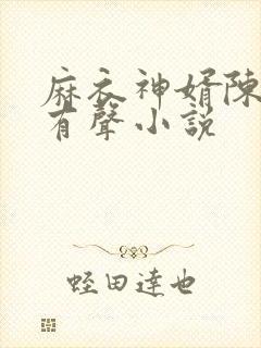 麻衣神婿陈黄皮有声小说