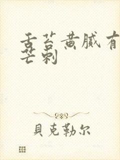 舌苔黄腻有齿痕芒刺