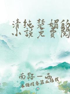 清纯楚媚的快穿小说免费阅读