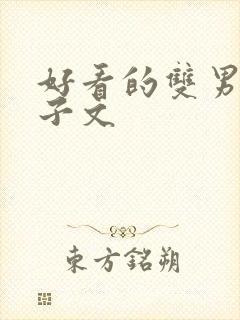 好看的双男主生子文