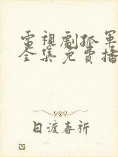 电视剧孤军英雄全集免费播放