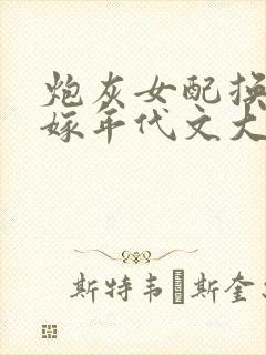 炮灰女配换亲错嫁年代文大佬锦瑟流朱