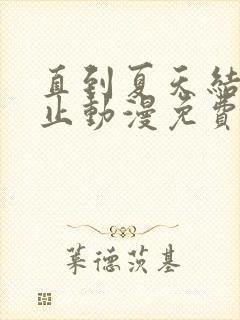 直到夏天结束为止动漫免费观看中