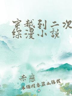 穿越到二次元的综漫小说