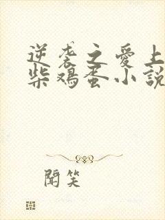 逆袭之爱上情敌柴鸡蛋小说版免费