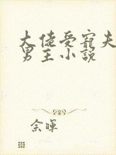 大佬受宠夫的双男主小说