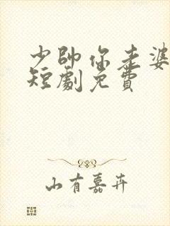 少帅你老婆又跑短剧免费