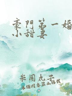 豪门第一婚吻安小甜妻