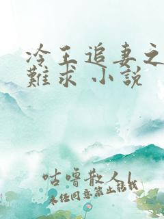 冷王追妻之医妃难求 小说