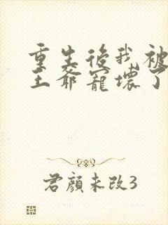 重生后我被偏执王爷宠坏了小说