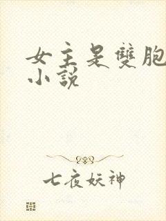 女主是双胞胎的小说