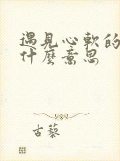 遇见心软的神是什么意思