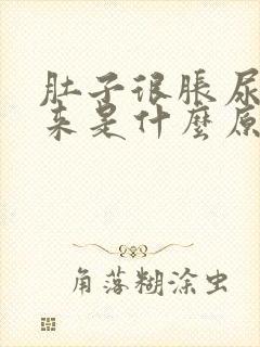 肚子很胀尿不出来是什么原因