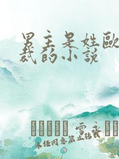 男主是姓欧的总裁的小说