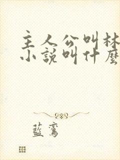 主人公叫林烨的小说叫什么名字