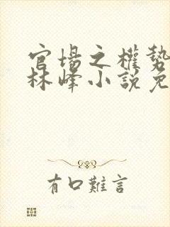 官场之权势滔天林峰小说免费阅读最新章节