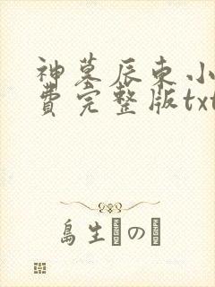 神墓辰东小说免费完整版txt