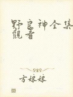 野良神全集免费观看
