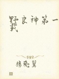 野良神第一季下载