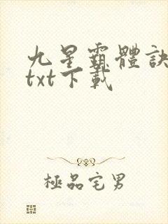 九星霸体诀龙尘txt下载
