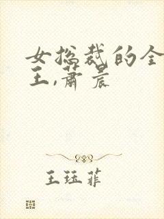 女总裁的全能兵王,萧晨