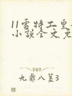 11处特工皇妃小说全文免费阅读