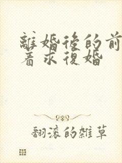 离婚后的前夫哭着求复婚