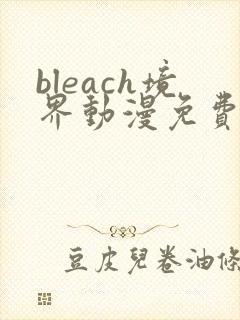 bleach境界动漫免费全集