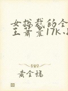 女总裁的全能兵王萧晨17k小说网