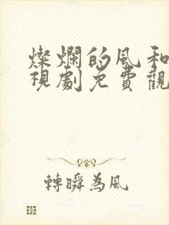 灿烂的风和海电视剧免费观看完整版