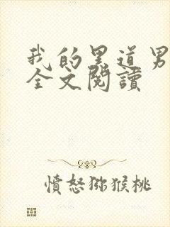 我的黑道男友2全文阅读