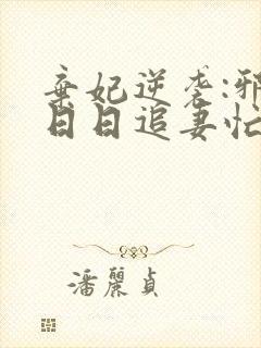 弃妃逆袭:邪王日日追妻忙完整小说