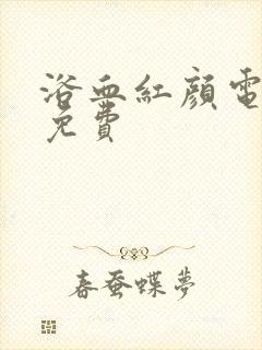 浴血红颜电视剧免费