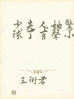 少夫人她惊艳全球了有声小说完整