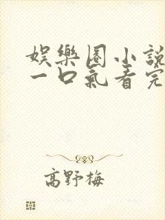 娱乐圈小说推文一口气看完