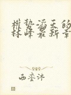 权势滔天的小说林峰最新章节