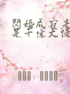 闪婚成宠老公竟是千亿大佬小说