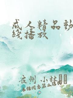 成人精品动漫在线播放