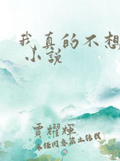 我真的不想穿越 小说
